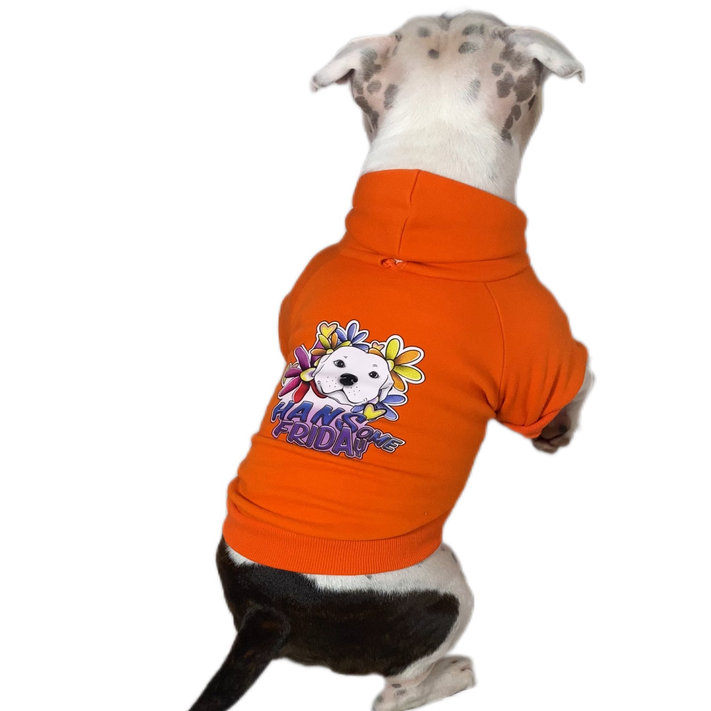 Limited Edition Dog Hoodie - Orange