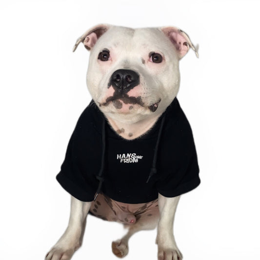 Limited Edition Dog Hoodie - Black