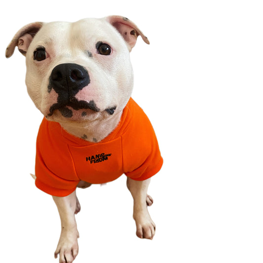 Limited Edition Dog Hoodie - Orange