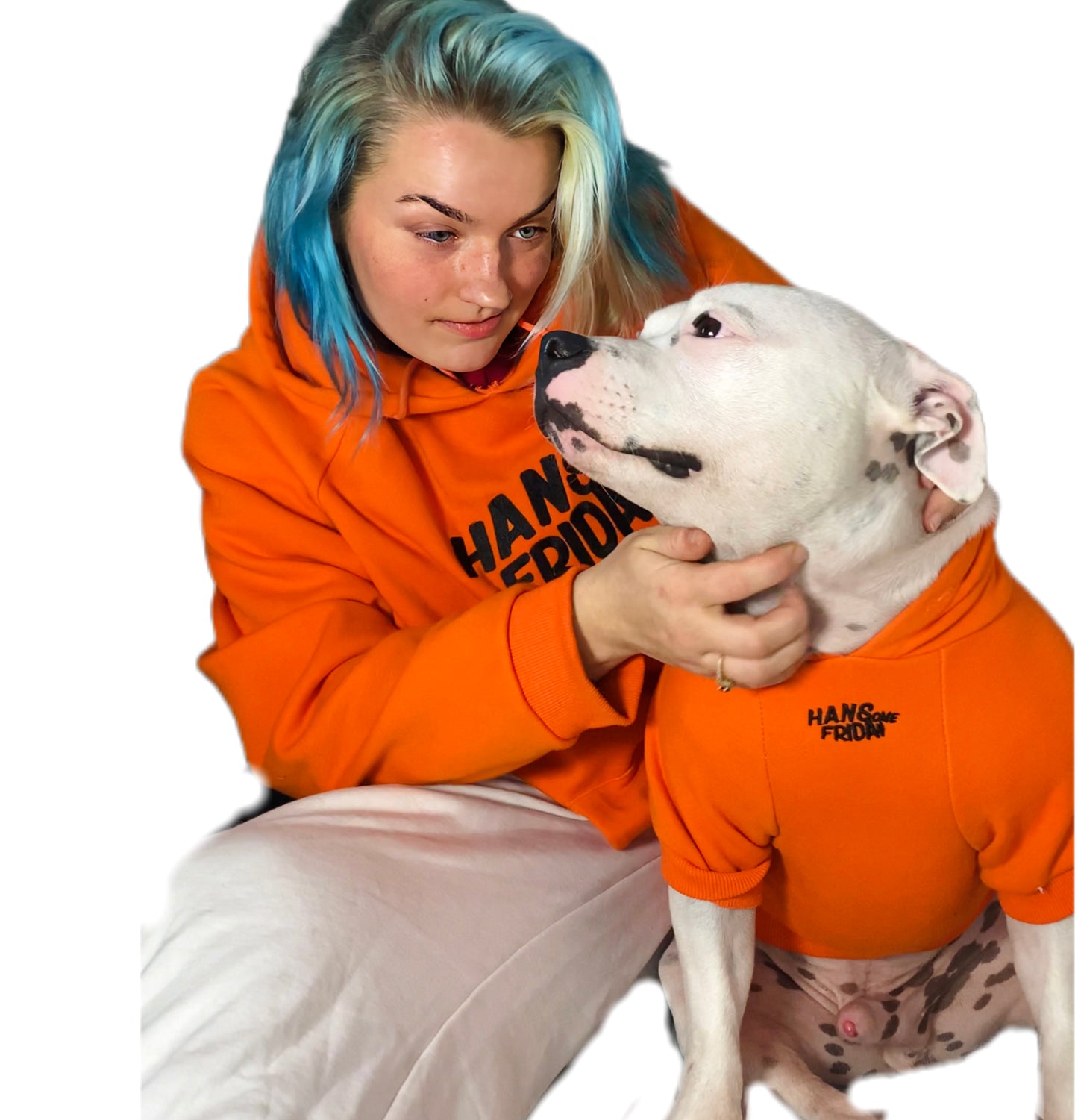 Limited Edition Dog Hoodie - Orange