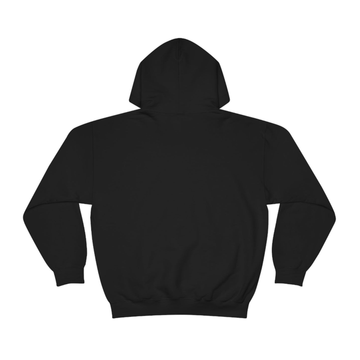 Black Einstein Unisex Hooded Sweatshirt