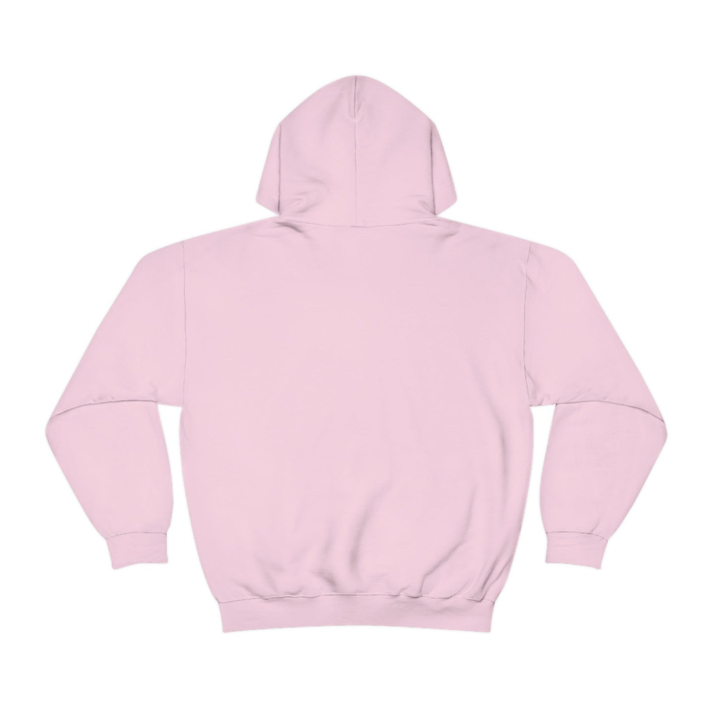 Light Pink Einstein Unisex Hooded Sweatshirt